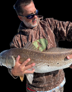 Redfish Angling in Mississippi